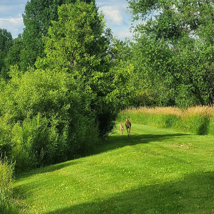 Spring valley ponds campground Picture 4