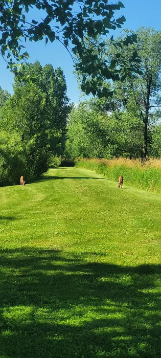Spring valley ponds campground Picture 8