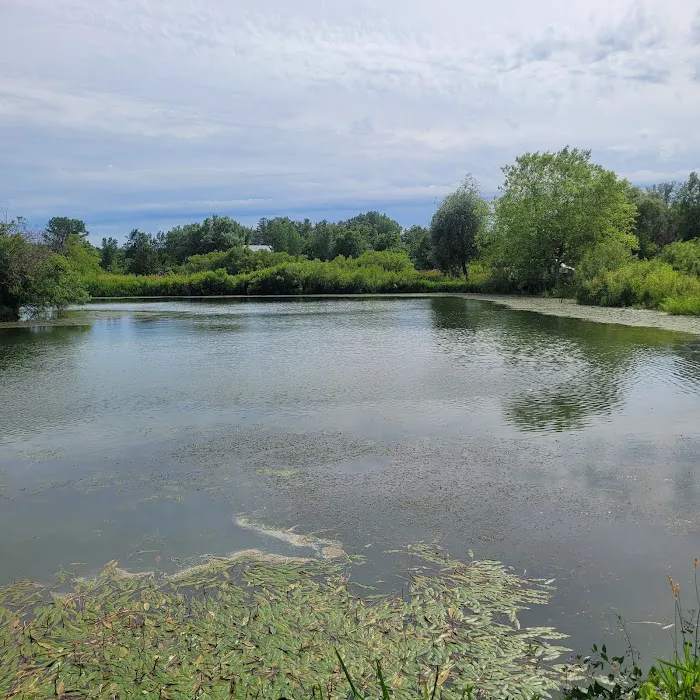 Spring valley ponds campground Picture 3