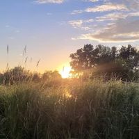 Spring valley ponds campground ico