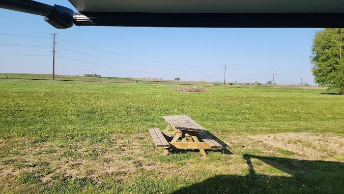 Crazy Acres Picture 5