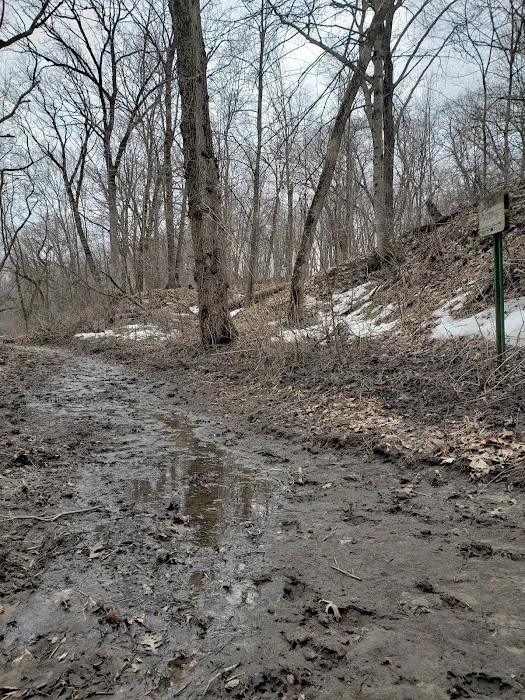 Cedar Bridge Park Picture 6