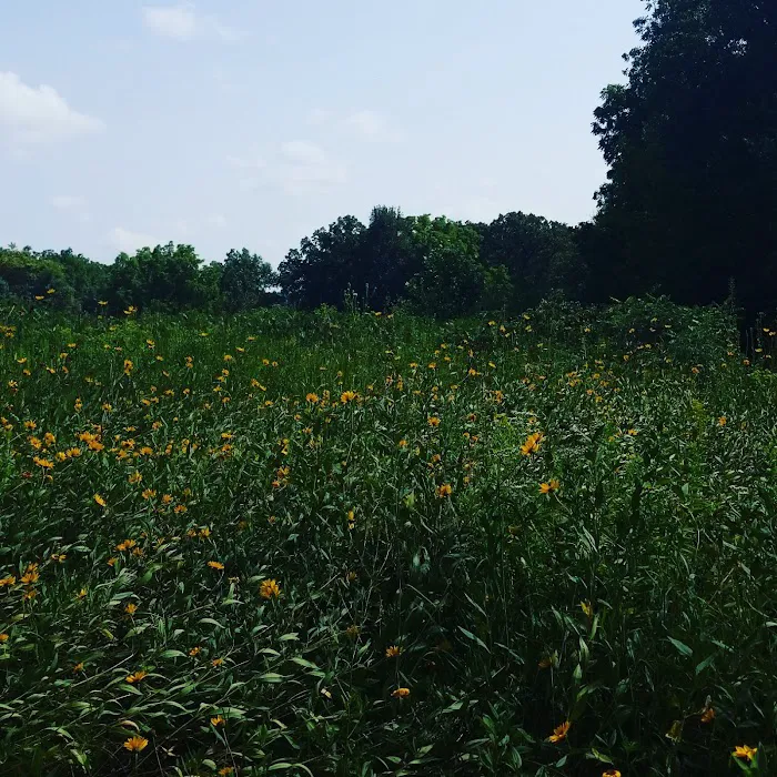 Cedar River Sportsman's Park Picture 7