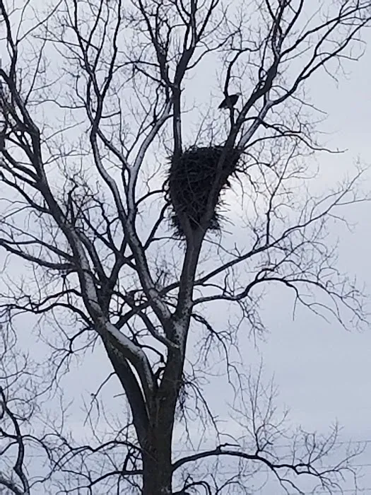 Camp At the Woods (Open Year Around) Picture 7