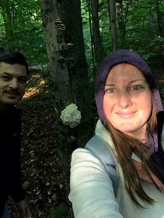 River Forest Campground Picture 10