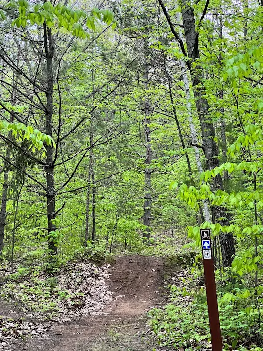 River Forest Campground Picture 8