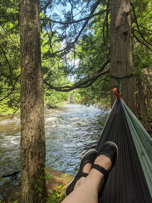 Bagley Rapids Campground Picture 10