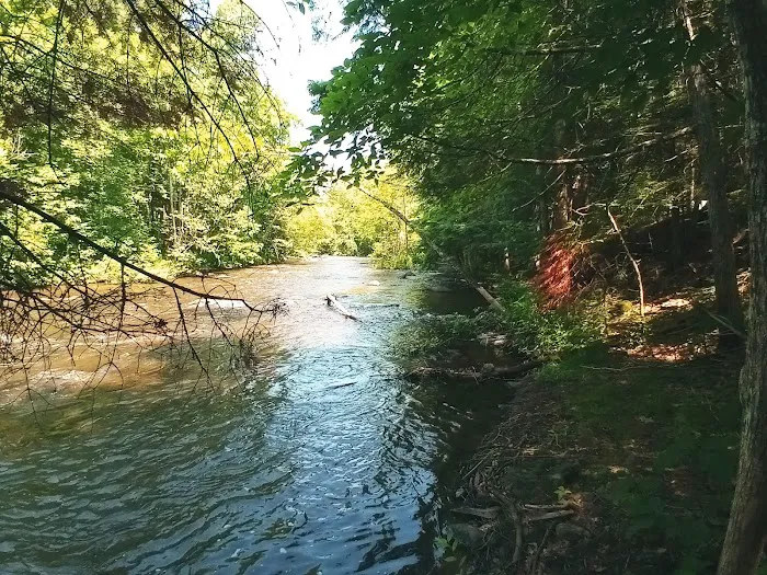 Bagley Rapids Campground Picture 5