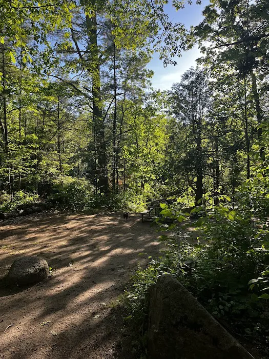 Bagley Rapids Campground Picture 7