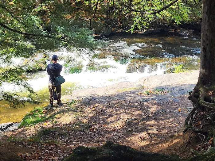 Bagley Rapids Campground Picture 9
