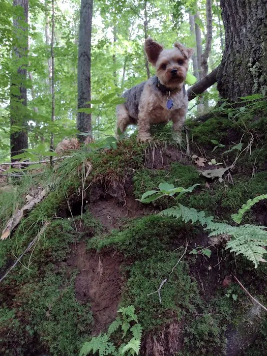 Echo Valley Resort Picture 8