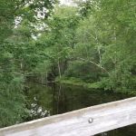 Camp Bird Youth Center