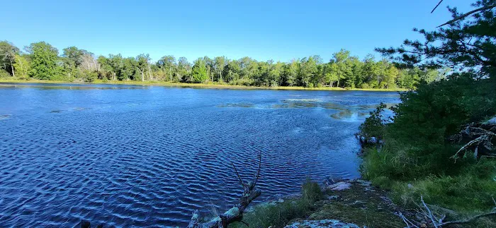Peshtigo River Kayak Campsite Picture 1