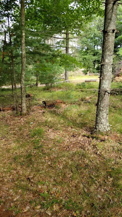 Peshtigo River Kayak Campsite Picture 3