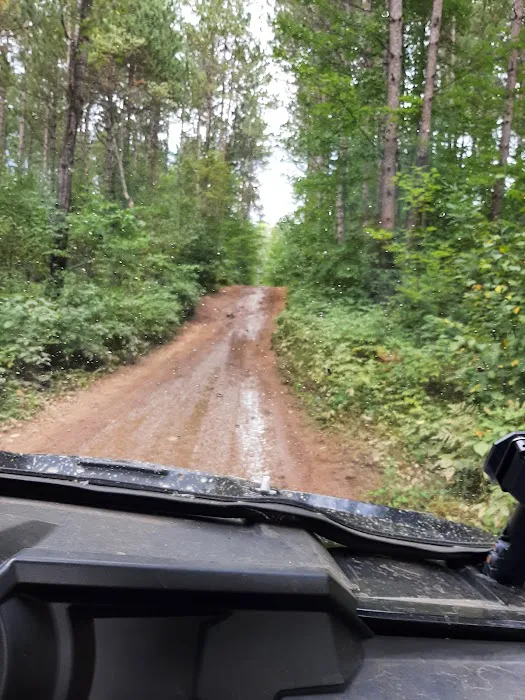 Friess Forest Picture 7