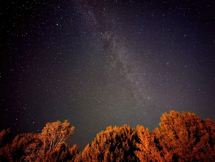Council Grounds State Park Group Campground Picture 9