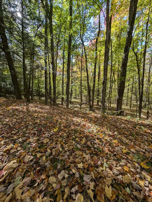 Council Grounds State Park Group Campground Picture 8