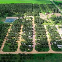 Windmill Campground and Resort LLC ico