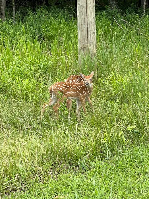 Dry Dock Campgrounds Picture 10