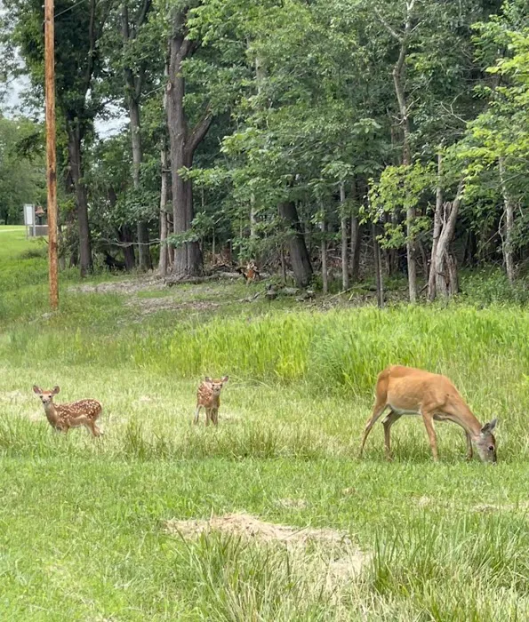 Dry Dock Campgrounds Picture 9