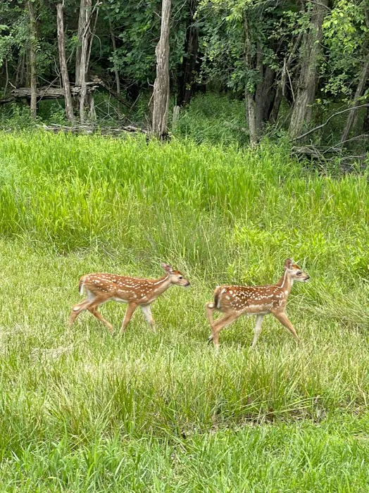 Dry Dock Campgrounds Picture 8