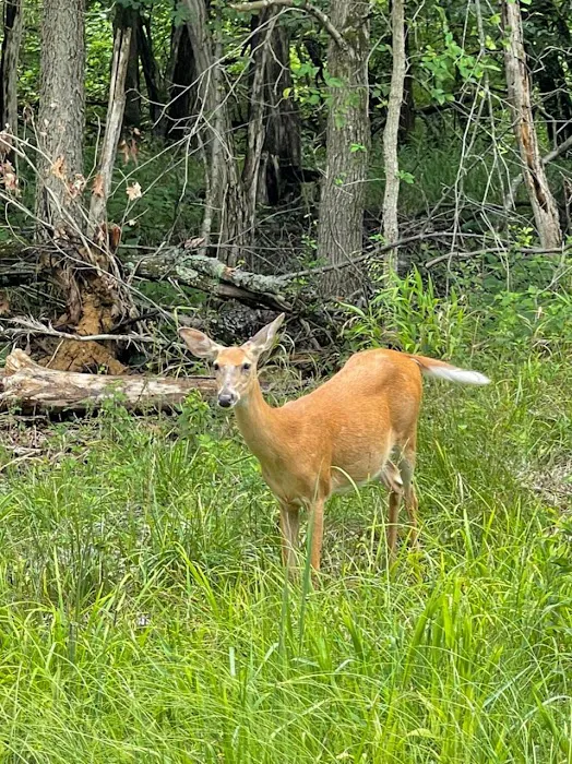 Dry Dock Campgrounds Picture 7