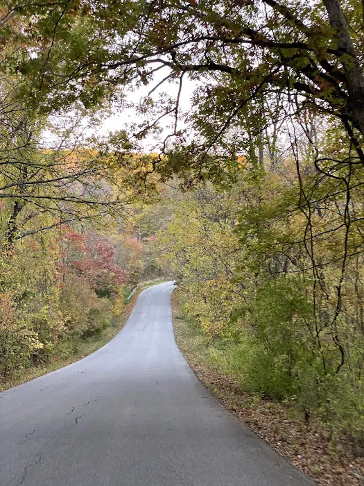 Babler State Park Campground Picture 6