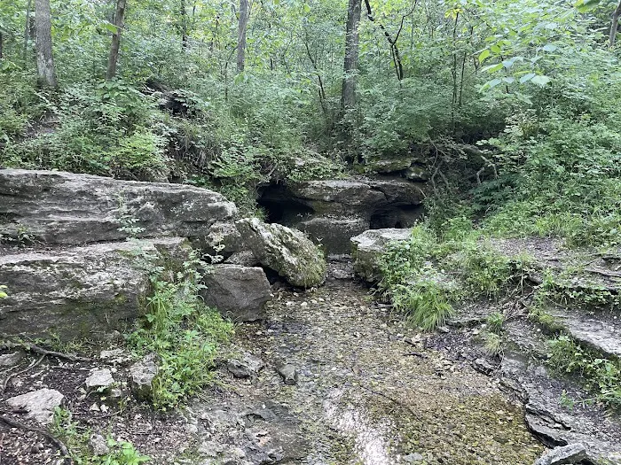 Group Camping Area, Edmund A. Babler Memorial State Park Picture 7