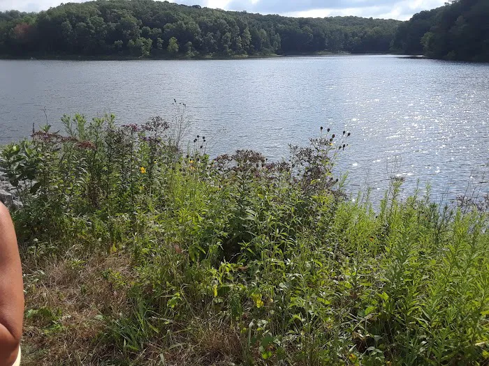 Cuivre River State Park Campground Picture 4