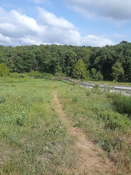 Cuivre River State Park Campground Picture 3