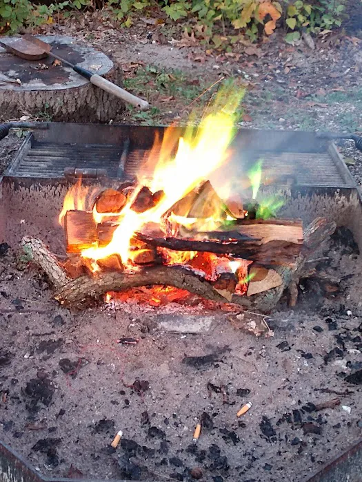 Cuivre River Camp Picture 4