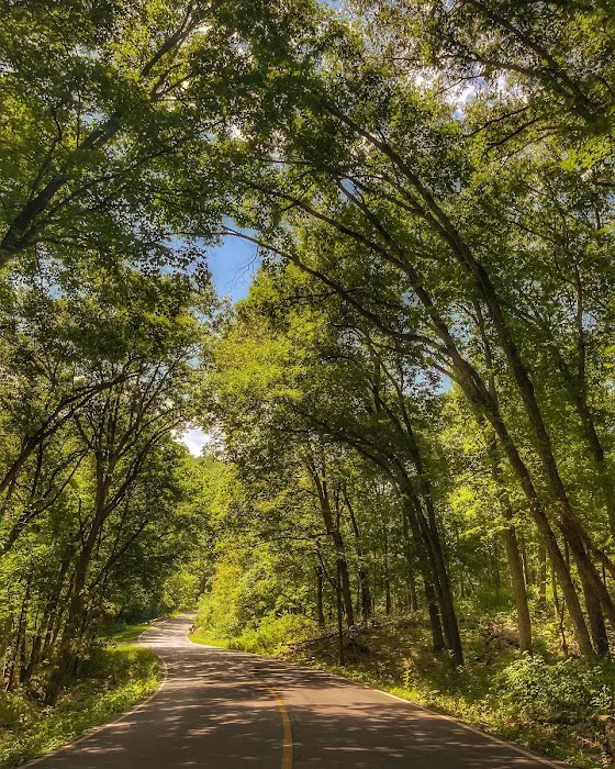 Camp Sherwood Forest Picture 4