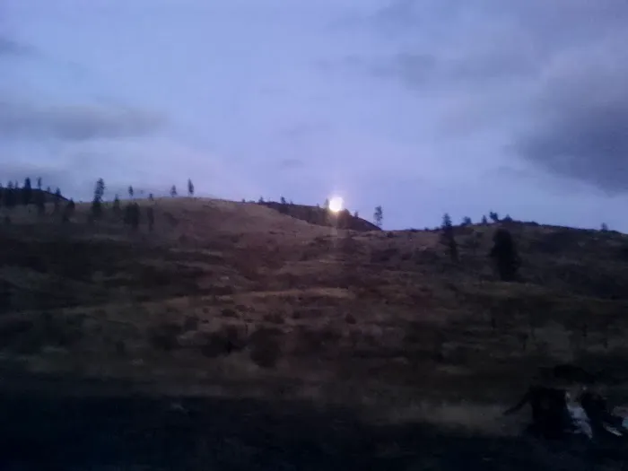 Camp Sherwood Forest Picture 3