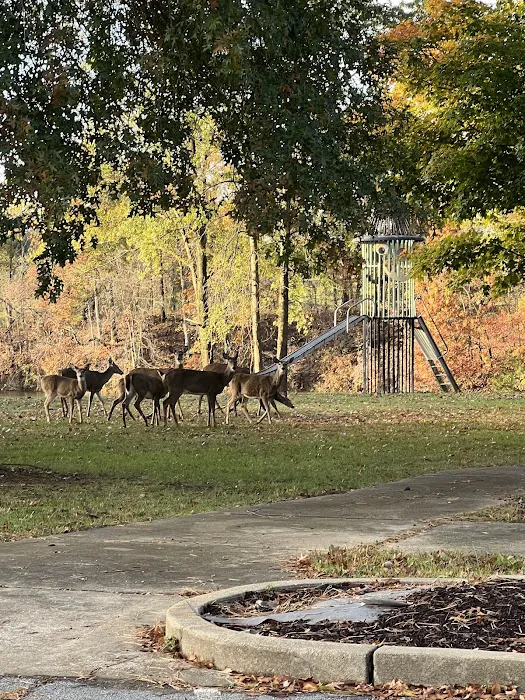 Oak Valley Campground & RV Resort Picture 10