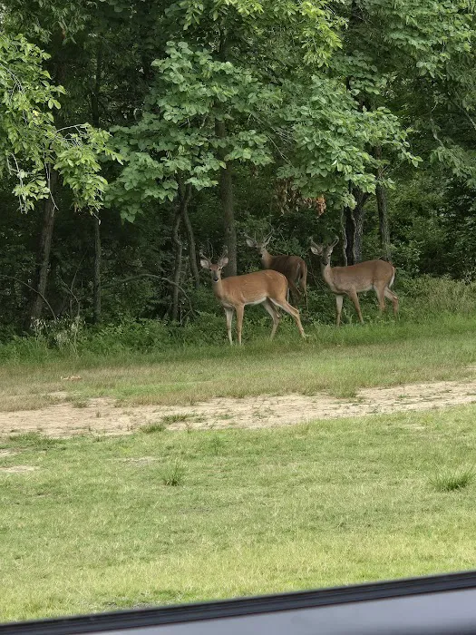 Oak Valley Campground & RV Resort Picture 9