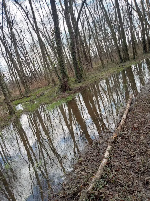 Leif J. Sverdrup Campsite Picture 3