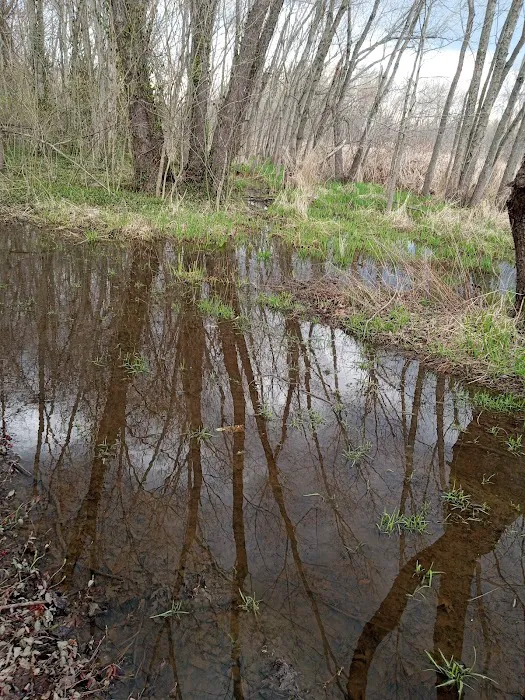 Leif J. Sverdrup Campsite Picture 2