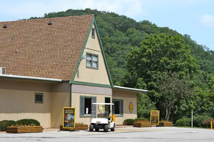 Yogi Bear's Jellystone Park Picture 1