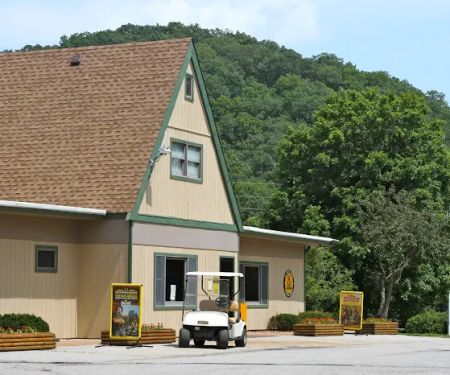 Yogi Bear's Jellystone Park