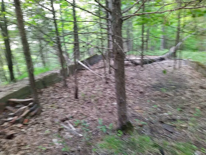 Forrest Staley County Park Picture 2