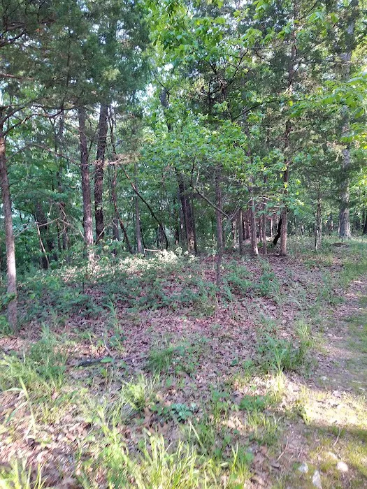 Forrest Staley County Park Picture 3