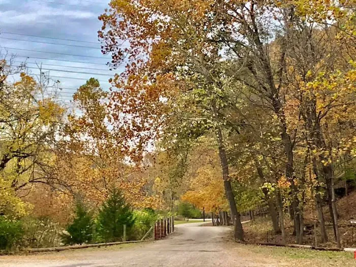 Beaumont Scout Reservation Picture 6