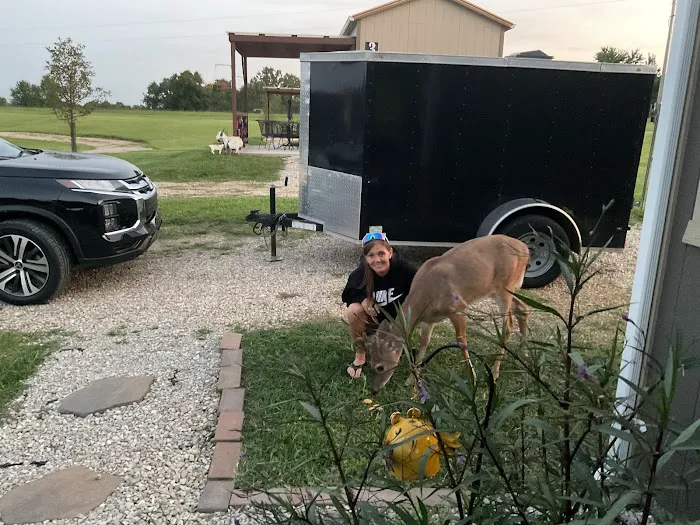 Tiny House Adventures Picture 3