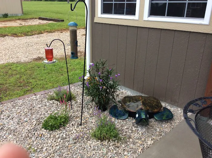 Tiny House Adventures Picture 5