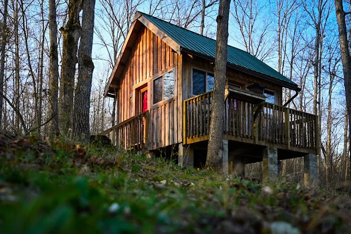 ItzaWayzBack Farm LLC Picture 14