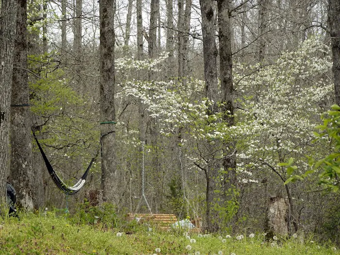 ItzaWayzBack Farm LLC Picture 12