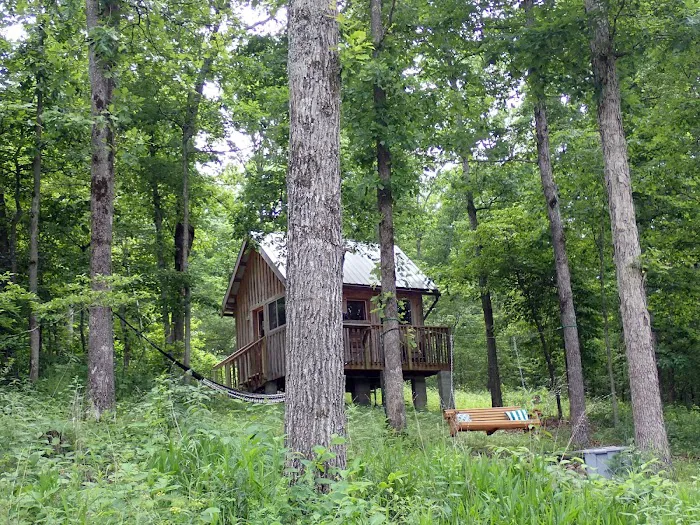 ItzaWayzBack Farm LLC Picture 17