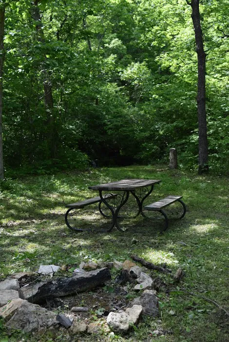 Troublesome Hollow Primitive Campsites Picture 5