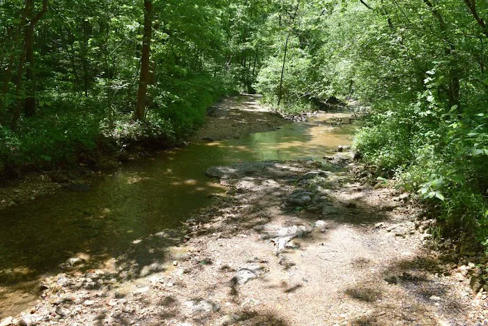 Troublesome Hollow Primitive Campsites Picture 7