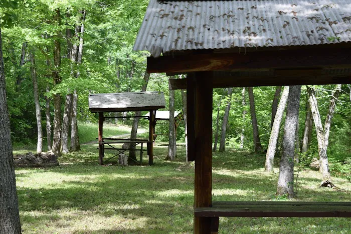 Troublesome Hollow Primitive Campsites Picture 8